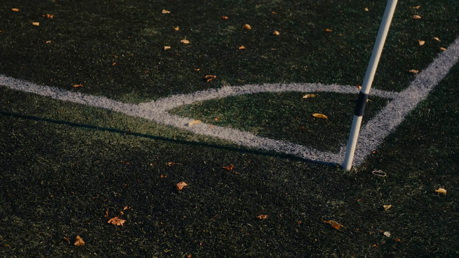 Strakke lijnen op het veld
